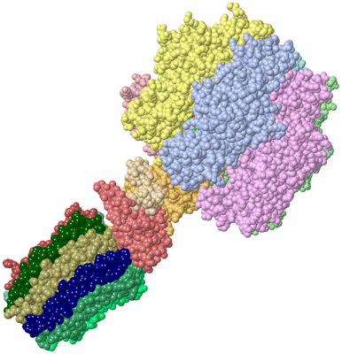 Image Asym./Biol. Unit - sites