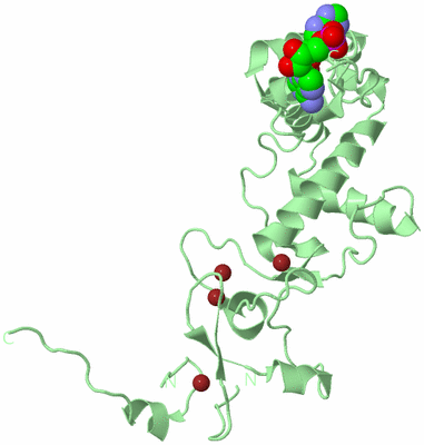 Image Biological Unit 2