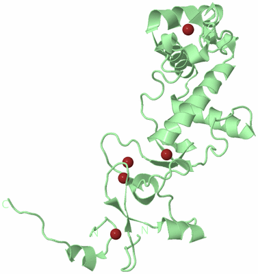 Image Biological Unit 2