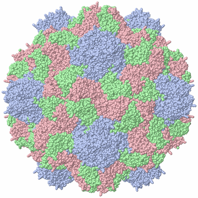 Image Biological Unit 1