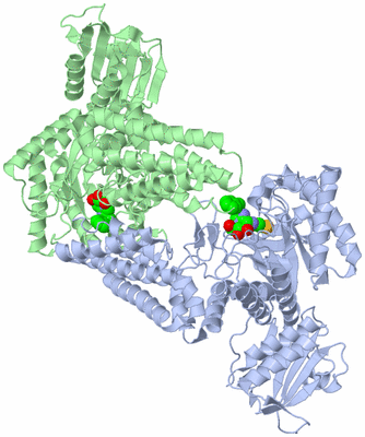 Image Asym./Biol. Unit