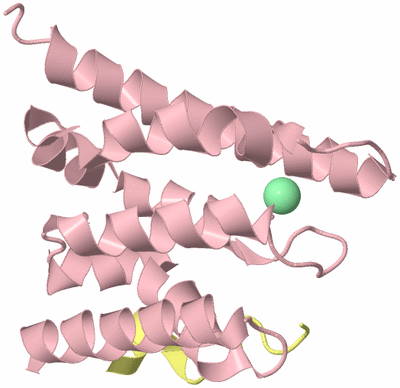 Image Biological Unit 2