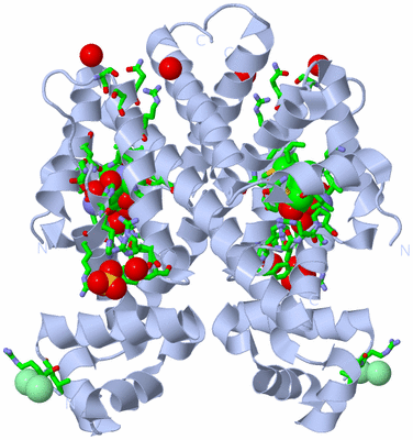 Image Biol. Unit 1 - sites