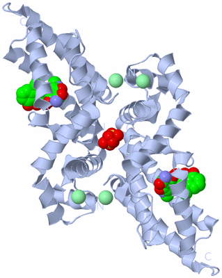 Image Biological Unit 2