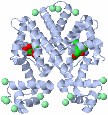 Image Biological Unit 1