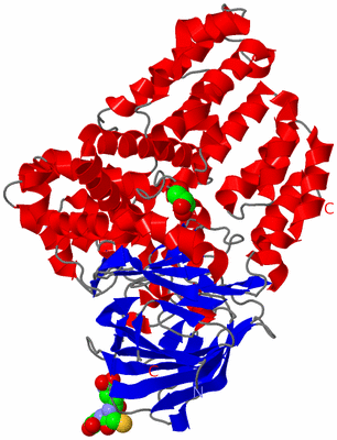 Image Asym./Biol. Unit