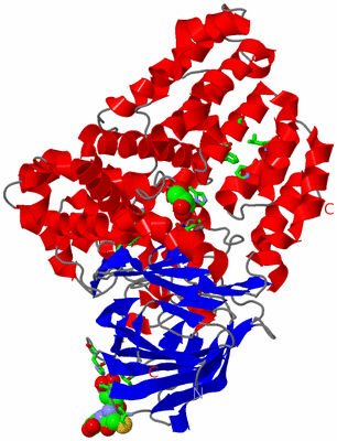 Image Asym./Biol. Unit - sites