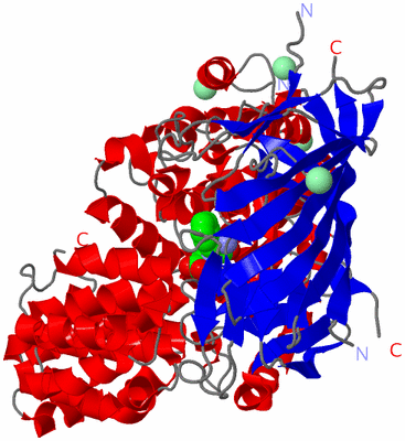 Image Asym./Biol. Unit