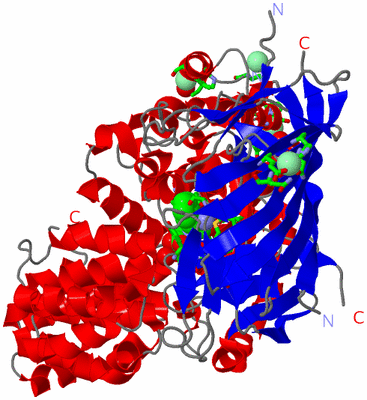 Image Asym./Biol. Unit - sites