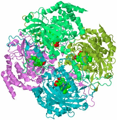 Image Biological Unit 1