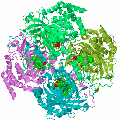 Image Biol. Unit 1 - sites