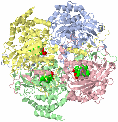 Image Biological Unit 2