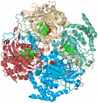 Image Biological Unit 3