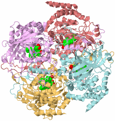 Image Biological Unit 4