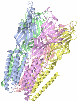 Image Asym./Biol. Unit