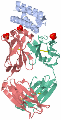 Image Asym./Biol. Unit