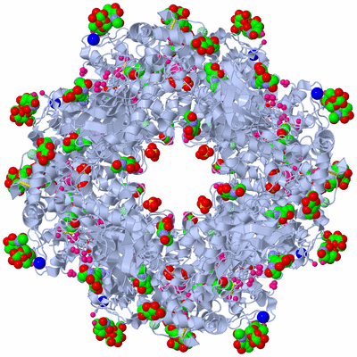 Image Biological Unit 1