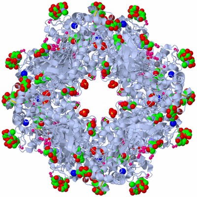 Image Biological Unit 1