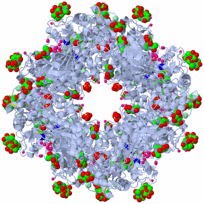 Image Biological Unit 1