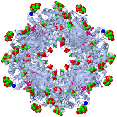 Image Biological Unit 1