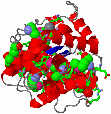 Image Asym./Biol. Unit - sites