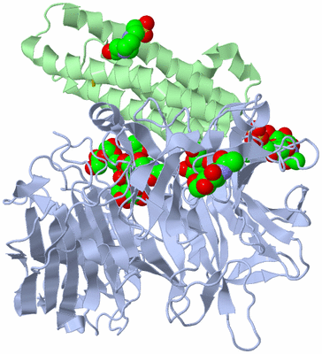 Image Biological Unit 1