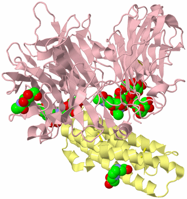 Image Biological Unit 2