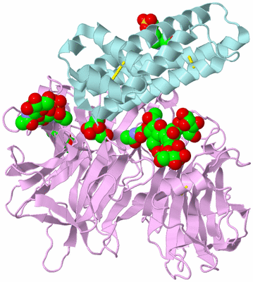 Image Biological Unit 3