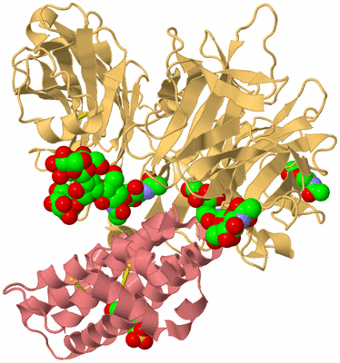 Image Biological Unit 4