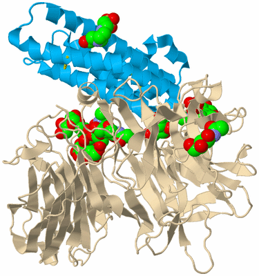 Image Biological Unit 5