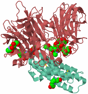 Image Biological Unit 6