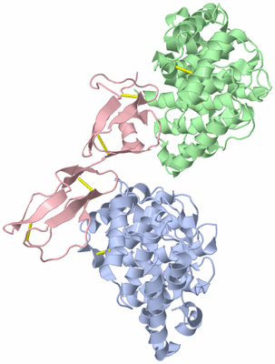 Image Biological Unit 1