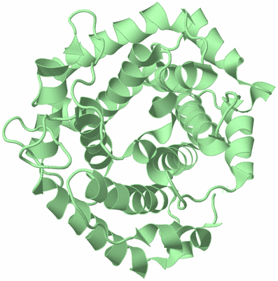 Image Biological Unit 3