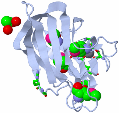 Image Biol. Unit 1 - sites