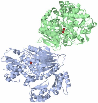 Image Biological Unit 1