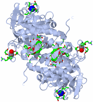 Image Biol. Unit 1 - sites