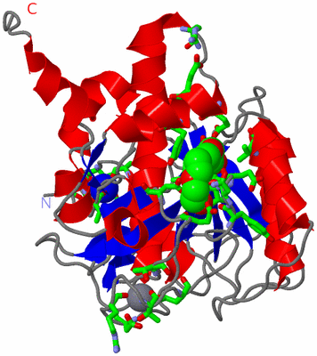 Image Asym. Unit - sites