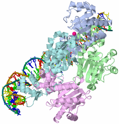 Image Asym./Biol. Unit