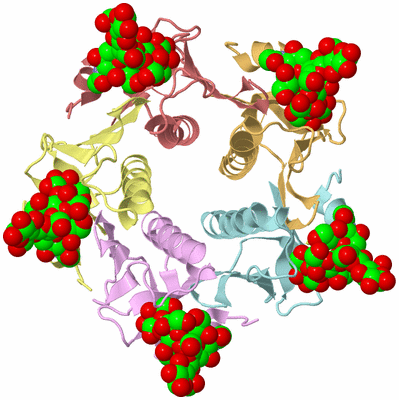 Image Asym./Biol. Unit