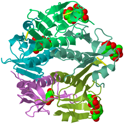 Image Biological Unit 1