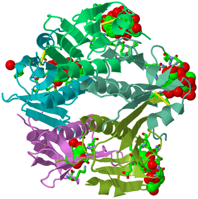 Image Biol. Unit 1 - sites