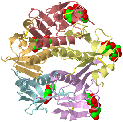 Image Biological Unit 2