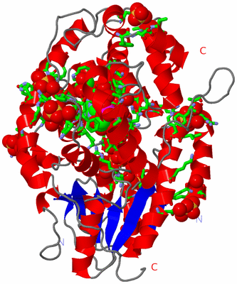 Image Asym./Biol. Unit - sites