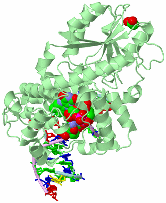 Image Biological Unit 2