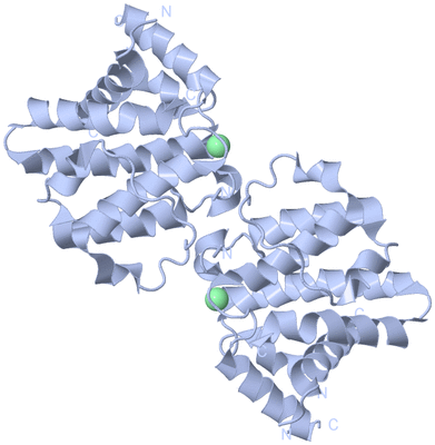 Image Biological Unit 1