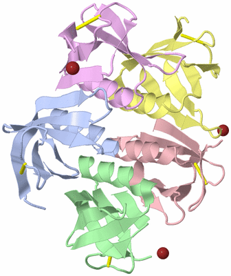 Image Asym./Biol. Unit