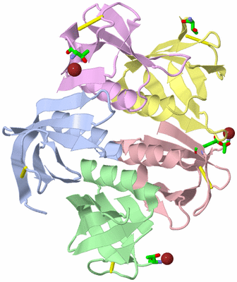 Image Asym./Biol. Unit - sites