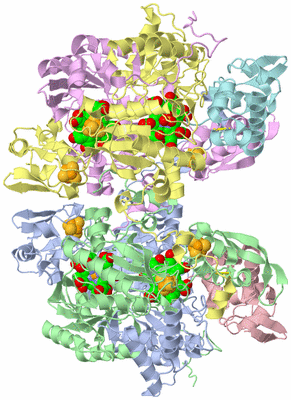 Image Asym./Biol. Unit