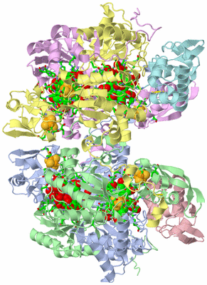 Image Asym./Biol. Unit - sites