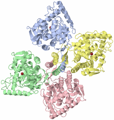 Image Asym./Biol. Unit